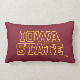 Iowa State University Block Design Lumbar Pillow