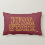 Iowa State University | Block Design Lumbar Pillow