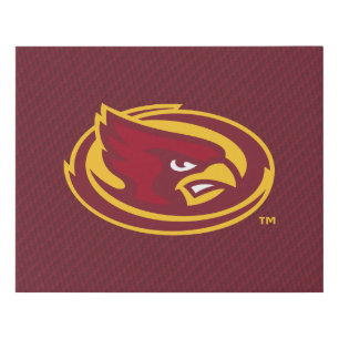 Iowa State University   Carbon Fiber Pattern Faux Canvas Print