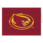 Iowa State University | Chevron Pattern (Front Horizontal)
