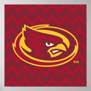 Iowa State University Chevron Pattern Poster