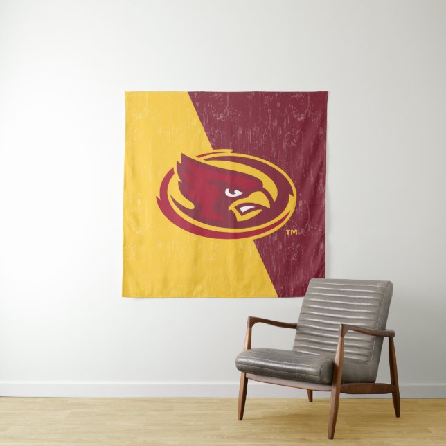 Iowa State University | Distressed Block Design Tapestry (In Situ)