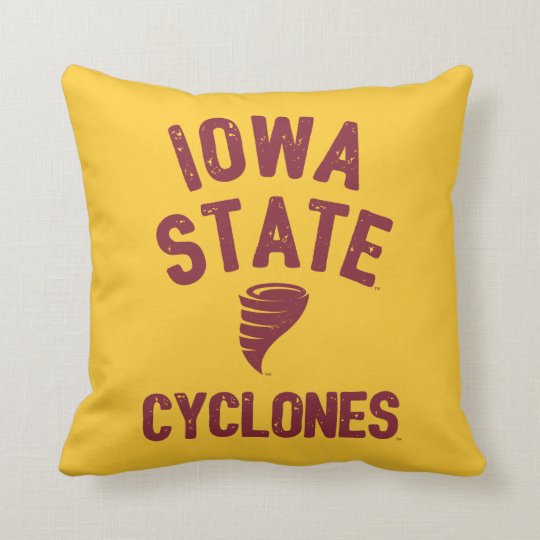 iowa pillow pet