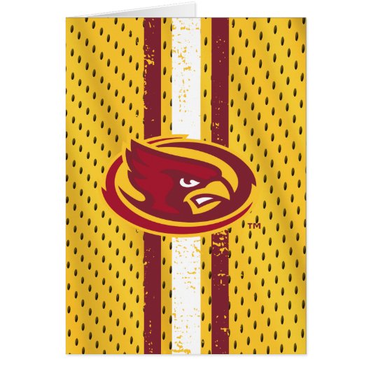 Iowa State University | Iowa Logo Jersey Pattern (Front)