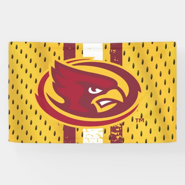Iowa State University | Iowa Logo Jersey Pattern Banner (Horizontal)