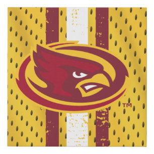 Iowa State University   Iowa Logo Jersey Pattern Faux Canvas Print