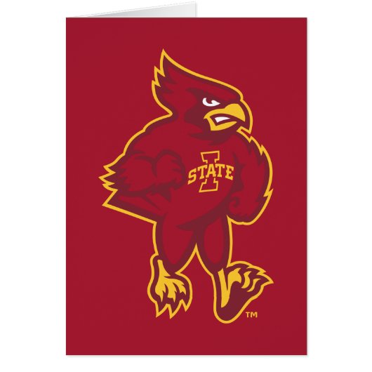 Iowa State University | Iowa Mascot (Front)