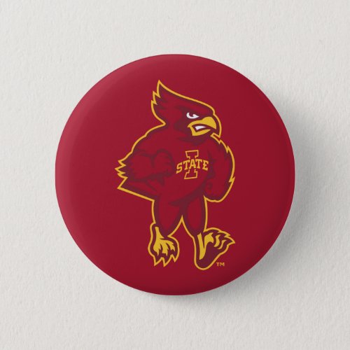 Iowa State University  Iowa Mascot Button