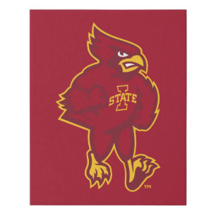 Iowa State University   Iowa Mascot Faux Canvas Print