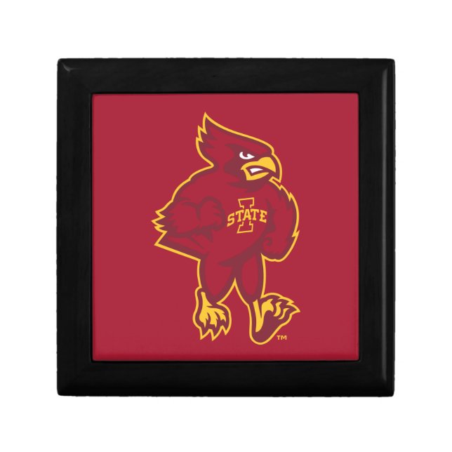 Iowa State University | Iowa Mascot Gift Box (Front)