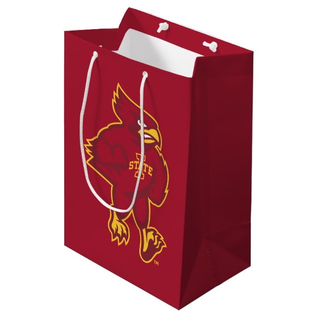 Iowa State University | Iowa Mascot Medium Gift Bag (Front Angled)