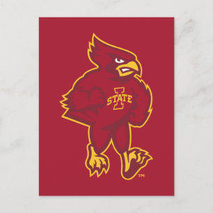 Iowa State University Iowa Mascot Postcard
