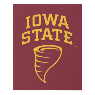 Iowa State University   Iowa State Cyclones Faux Canvas Print