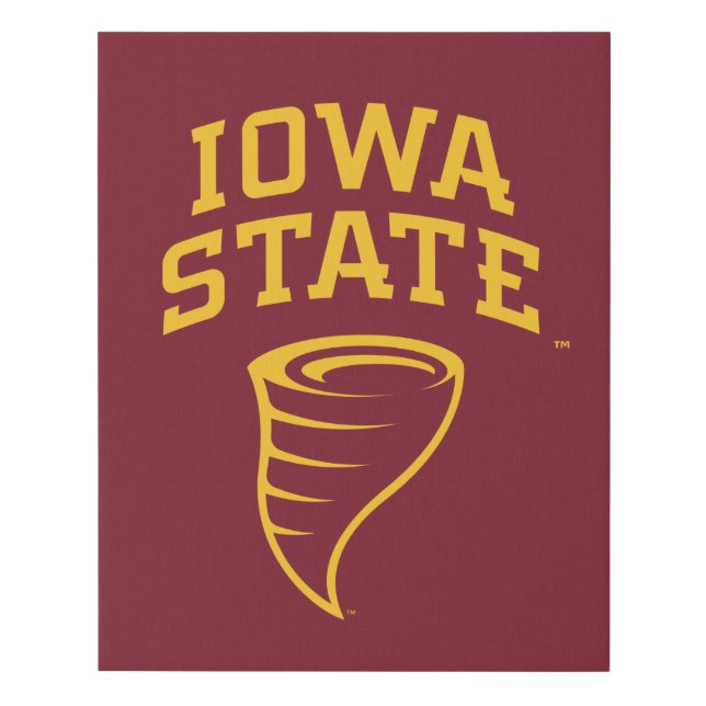 Iowa State University | Iowa State Cyclones Faux Canvas Print (Front)
