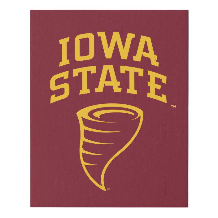 Iowa State University | Iowa State Cyclones Faux Canvas Print | Zazzle.com