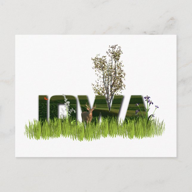 Iowa Wildlife Postcard (Front)