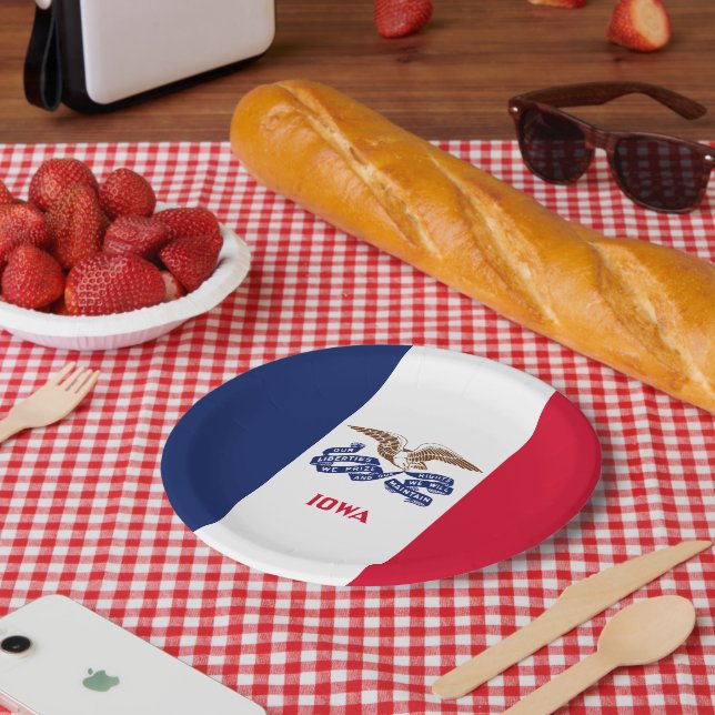 Iowan Flag, Flag of Iowa Paper Plates (Picnic)