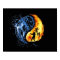 Ip Man Wing Chun ( Yin Yang)