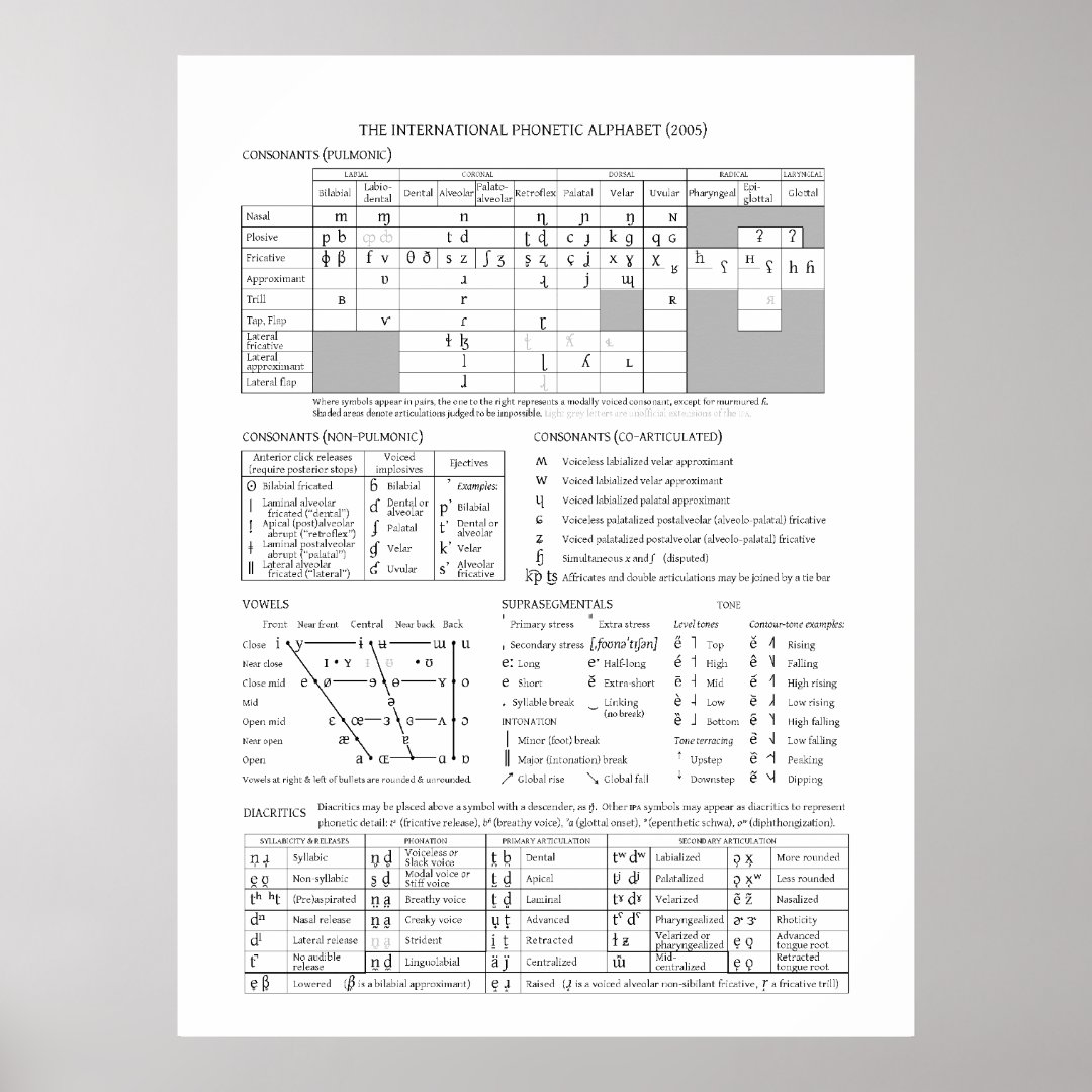 IPA Chart | Zazzle
