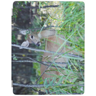 iPad 2/3/4 Cover