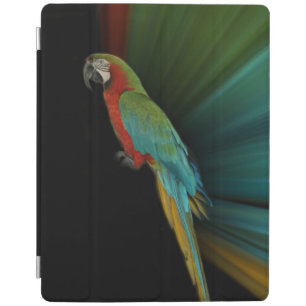 iPad 2/3/4 Cover