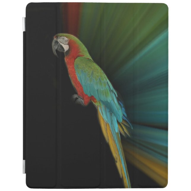iPad 2/3/4 Cover (Front)