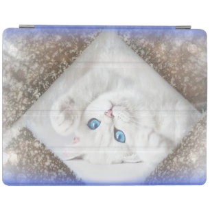 iPad 2/3/4 Cover