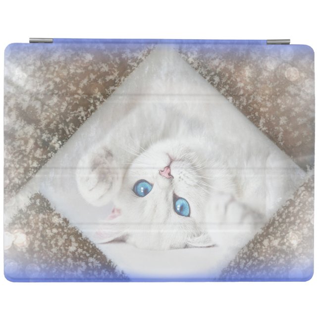 iPad 2/3/4 Cover (Horizontal)