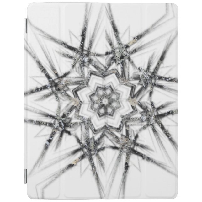 iPad 2/3/4 Cover (Front)