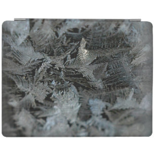 iPad 2/3/4 Cover