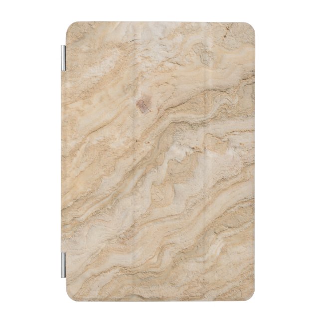  iPad 7.9" Smart Cover (Front)