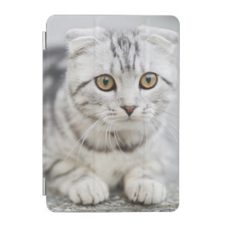 iPad 7.9" Smart Cover