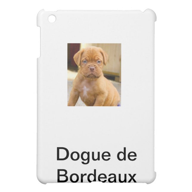 IPAD CASE*** CASE FOR THE iPad MINI (Back)