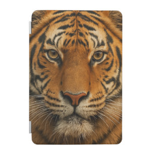 ipad case Tiger