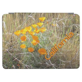 iPad Cover – California Poppies