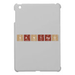 SANTIAGO  iPad Mini Cases