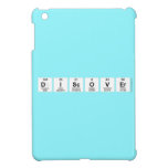 Discover  iPad Mini Cases