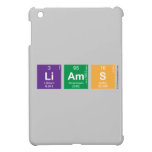 Liams  iPad Mini Cases