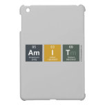 amit  iPad Mini Cases