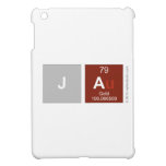 Ja  iPad Mini Cases