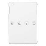 C A L Y  iPad Mini Cases