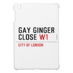 GAY GINGER CLOSE  iPad Mini Cases