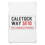 caletock  way  iPad Mini Cases