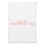 Happy
 Valentine's Day  iPad Mini Cases