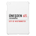 Üneşden  iPad Mini Cases