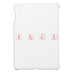 C a l y  iPad Mini Cases