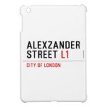 alexzander Street  iPad Mini Cases