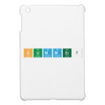 Summer7  iPad Mini Cases
