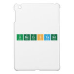 understand  iPad Mini Cases