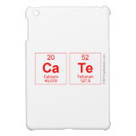 cate  iPad Mini Cases